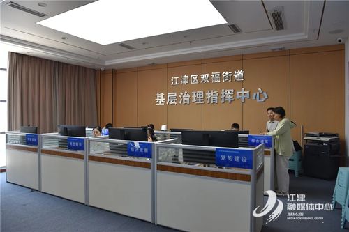 重慶江津區(qū)人民政府信息技術(shù)咨詢服務(wù) 驅(qū)動數(shù)字化轉(zhuǎn)型與區(qū)域發(fā)展